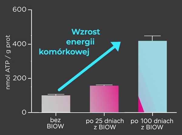 Wykres – wzrost energii komórkowej (ATP), 0/25/100 dni