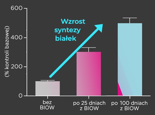 Wykres – wzrost syntezy białek, 0/25/100 dni